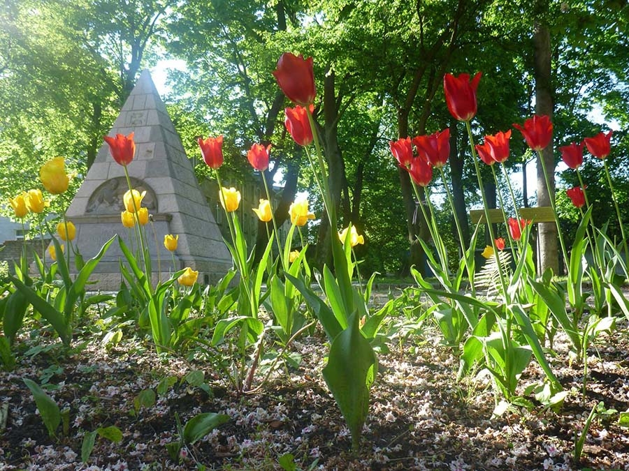Тюльпаны перед пирамидой на Малоярославской