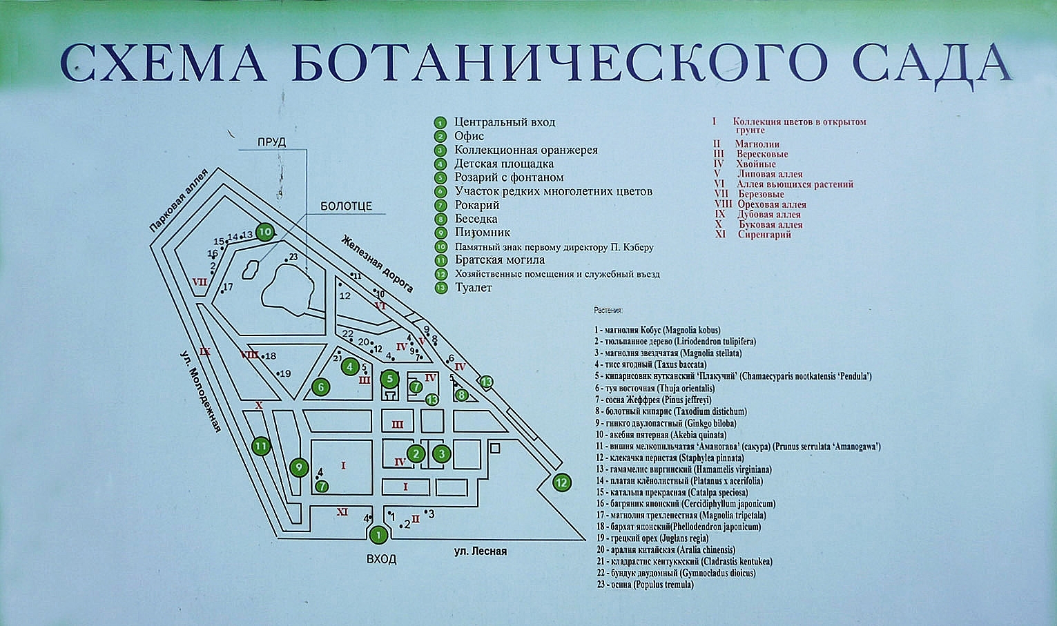 Ботанический сад Балтийского федерального университета имени Иммануила Канта