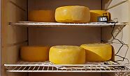 Наш специалитет — сыр из козьего молока