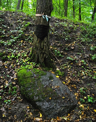 Плоский камень у подножья внешнего вала прусского городища Гросс-Хаузен и современные приношения в виде тряпичных узелков