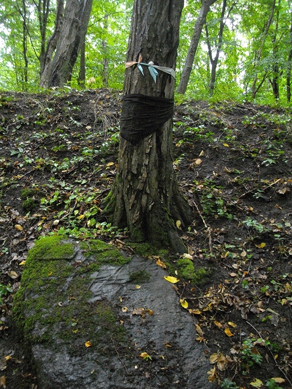 Один из жертвенных камней у подножья нижнего вала прусского городища Гросс-Хаузен