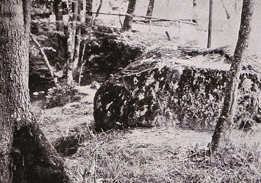 Жертвенный или Чёртов камень в Грюнфельде (п. Долгоруково)
