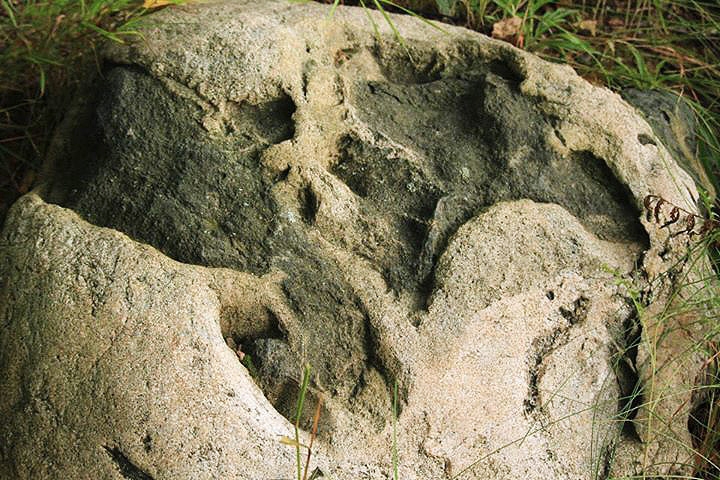 Камень со следами у прусского городища Покирбен